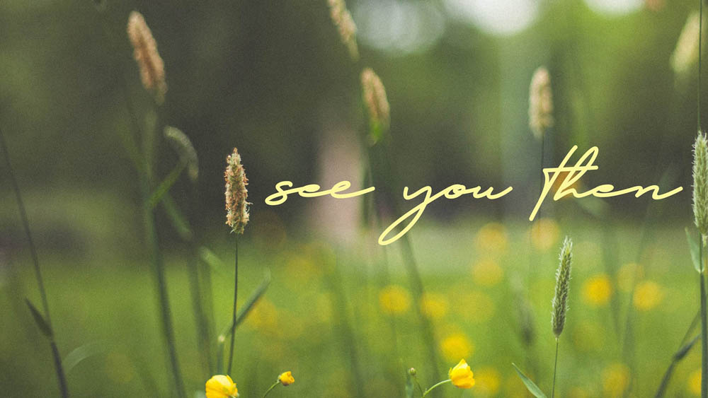 See You Then_banner_cropped Creative Consultant, Script Supervisor